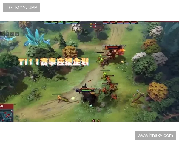 RNG战队在DOTA2赛事中的经验分享与战术解析探讨