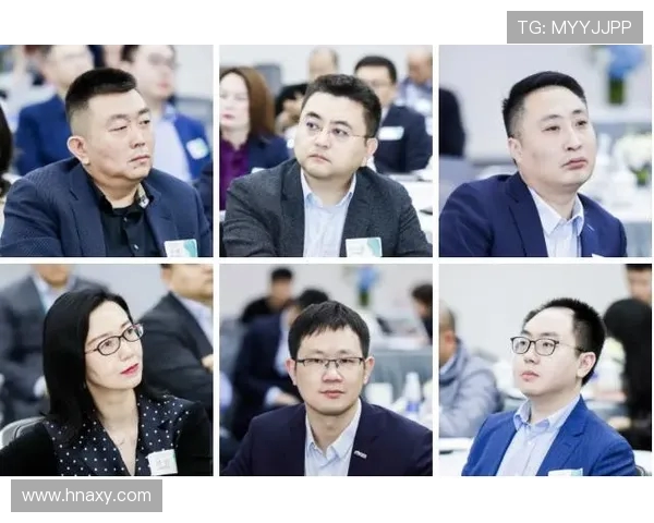 上海排球队的转型之路与未来发展趋势深度解析